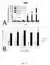 Fig. 11 - METHODS FOR IMAGING BONE PRECURSOR CELLS USING DUAL-LABELED IMAGING AGENTS TO DETECT MMP-9 POSITIVE CELLS