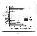 Fig. 06 - Methods for tumor diagnosis and therapy