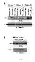 Fig. 02 - Methods and compositions for detection of cancer