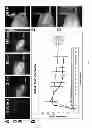 Fig. 08 - Methods and compositions for detection of cancer