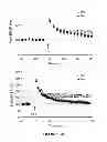 Fig. 02 - METHODS AND ASSAYS FOR TREATING SUBJECTS WITH SHANK3 DELETION, MUTATION OR REDUCED EXPRESSION