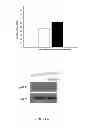 Fig. 08 - METHODS AND ASSAYS FOR TREATING SUBJECTS WITH SHANK3 DELETION, MUTATION OR REDUCED EXPRESSION
