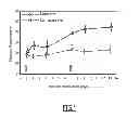 Fig. 02 - Method for increasing the intraocular pressure in an animal