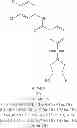 Fig. 447 - Hepatitis B antiviral agents