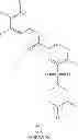Fig. 488 - Hepatitis B antiviral agents