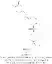 Fig. 508 - Hepatitis B antiviral agents