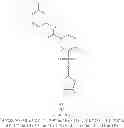 Fig. 534 - Hepatitis B antiviral agents