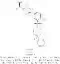 Fig. 720 - Hepatitis B antiviral agents