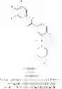 Fig. 822 - Hepatitis B antiviral agents