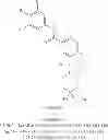 Fig. 869 - Hepatitis B antiviral agents