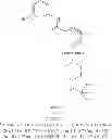 Fig. 90 - Hepatitis B antiviral agents