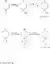 Fig. 930 - Hepatitis B antiviral agents
