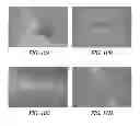 Fig. 09 - SUPPORTS AND METHODS FOR PROMOTING INTEGRATION OF CARTILAGE TISSUE EXPLANTS