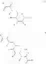 Fig. 05 - ACRYLAMIDE HYDROGELS FOR TISSUE ENGINEERING