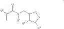 Fig. 06 - ACRYLAMIDE HYDROGELS FOR TISSUE ENGINEERING