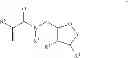 Fig. 22 - ACRYLAMIDE HYDROGELS FOR TISSUE ENGINEERING