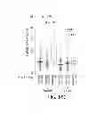 Fig. 19 - Methods using DNA methylation for identifying a cell or a mixture of cells for prognosis and  diagnosis of diseases, and for cell remediation therapies