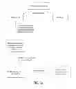 Fig. 40 - Methods using DNA methylation for identifying a cell or a mixture of cells for prognosis and  diagnosis of diseases, and for cell remediation therapies