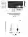 Fig. 47 - Methods using DNA methylation for identifying a cell or a mixture of cells for prognosis and  diagnosis of diseases, and for cell remediation therapies