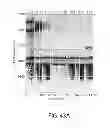 Fig. 70 - Methods using DNA methylation for identifying a cell or a mixture of cells for prognosis and  diagnosis of diseases, and for cell remediation therapies