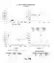 Fig. 80 - Methods using DNA methylation for identifying a cell or a mixture of cells for prognosis and  diagnosis of diseases, and for cell remediation therapies