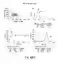 Fig. 91 - Methods using DNA methylation for identifying a cell or a mixture of cells for prognosis and  diagnosis of diseases, and for cell remediation therapies