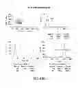 Fig. 92 - Methods using DNA methylation for identifying a cell or a mixture of cells for prognosis and  diagnosis of diseases, and for cell remediation therapies
