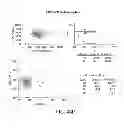 Fig. 94 - Methods using DNA methylation for identifying a cell or a mixture of cells for prognosis and  diagnosis of diseases, and for cell remediation therapies