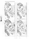 Fig. 03 - Compositions and methods for treating celiac sprue disease