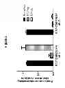 Fig. 04 - Compositions and methods for treating celiac sprue disease