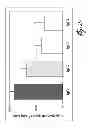 Fig. 06 - METHOD FOR POLYCLONAL IMMUNOGLOBULIN G PRODUCTION BY HUMAN B CELLS