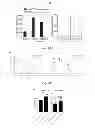 Fig. 07 - Methods of Treating Inflammatory Diseases by Targeting the Chemoattractant Cytokine Receptor 2 (CCR2) or Chemokine (C-C motif) Ligand 2 (CCL2)