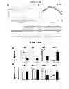 Fig. 08 - Methods of Treating Inflammatory Diseases by Targeting the Chemoattractant Cytokine Receptor 2 (CCR2) or Chemokine (C-C motif) Ligand 2 (CCL2)