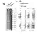 Fig. 25 - Methods of Treating Inflammatory Diseases by Targeting the Chemoattractant Cytokine Receptor 2 (CCR2) or Chemokine (C-C motif) Ligand 2 (CCL2)