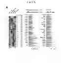Fig. 27 - Methods of Treating Inflammatory Diseases by Targeting the Chemoattractant Cytokine Receptor 2 (CCR2) or Chemokine (C-C motif) Ligand 2 (CCL2)