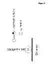 Fig. 06 - Amino acid sequence presenting fusion polypeptide and its use