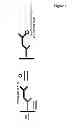 Fig. 10 - Amino acid sequence presenting fusion polypeptide and its use