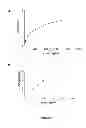 Fig. 02 - Anti-angiogenic therapy