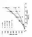 Fig. 05 - Anti-angiogenic therapy