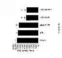 Fig. 06 - Anti-angiogenic therapy