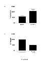 Fig. 09 - Anti-angiogenic therapy