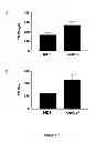 Fig. 10 - Anti-angiogenic therapy