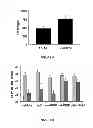 Fig. 11 - Anti-angiogenic therapy