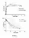 Fig. 16 - Anti-angiogenic therapy
