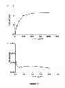 Fig. 19 - Anti-angiogenic therapy