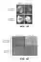 Fig. 02 - VASCULAR DISRUPTION AGENTS AND USES THEREOF