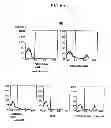 Fig. 07 - METHOD OF PRODUCING AN ANTIBODY