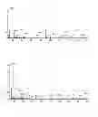 Fig. 07 - COMPOUNDS AND METHODS FOR THE TREATMENT OF CD20 POSITIVE DISEASES