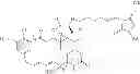 Fig. 28 - COMPOUNDS AND METHODS FOR THE TREATMENT OF CD20 POSITIVE DISEASES