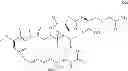 Fig. 110 - Maytansinoid derivatives